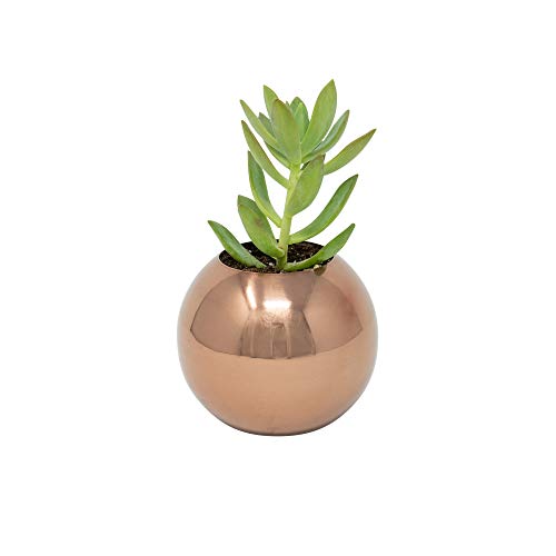 SS-POT-SM-ROSE
