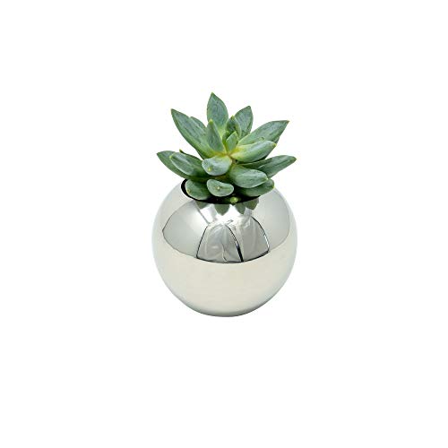 Brushed Stainless Steel Planter – Sphere Pot for Succulents, Cactus & Small Plants – Minimalistic Design for Desk, Window or Modern Kitchen (Brushed Stainless, Small) Brushed Stainless Steel Planter – Sphere Pot for Succulents, Cactus & Small Plants – Minimalistic Design for Desk, Window or Modern Kitchen (Brushed Stainless, Small)